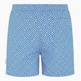 Aegea Swim Shorts